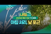 전국 건조 주의! 널뛰는 기온에 감기 조심! 남부 벚꽃 개화( 3월 31일 17시 기준)