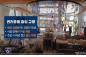 반려동물과 함께 음식점 출입 가능해진다…식품위생법 규칙 개정
