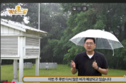 “비 오면 일단 감속” 폭우 시 안전거리, 보행자 주의 필요