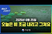 남은 비 찔끔씩 내렸다 그쳐... 다시 더위 찾아 온다. ( 25년 6월 25일 5시 기준)