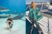 [ 해외 화제 토픽 ] '상어가 아프면 사람을 찾아온다’ 여성 다이버 실증 체험